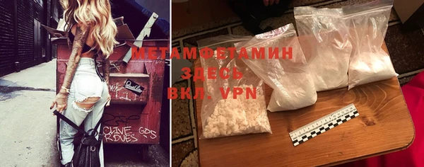 прущие грибы Покровск
